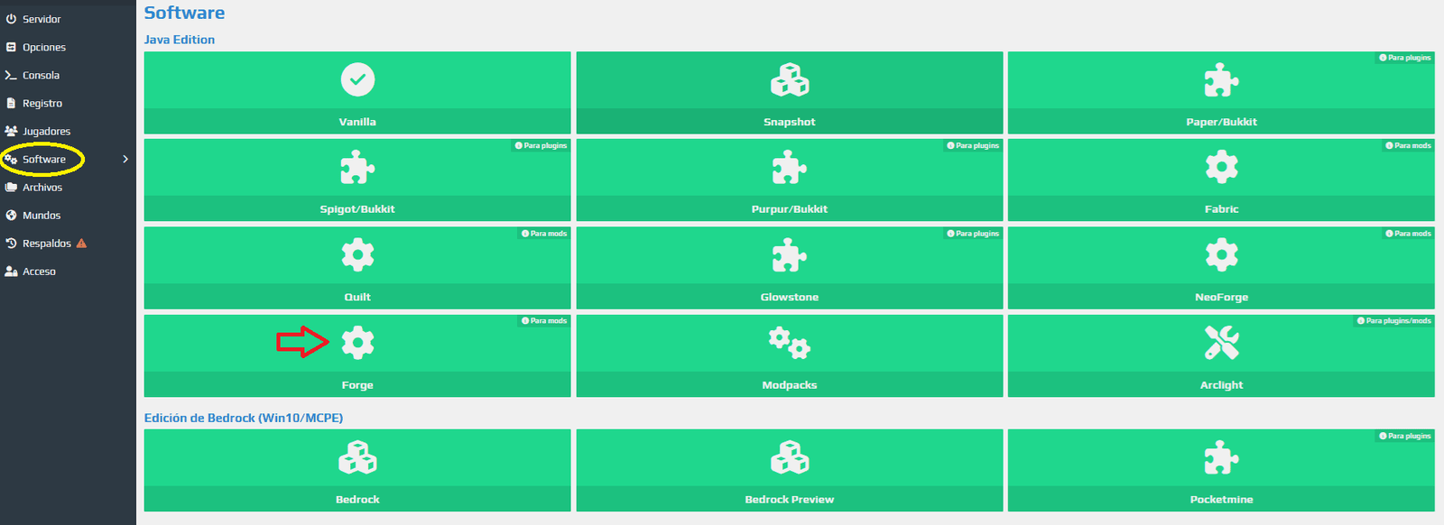 software para mods de Aternos
