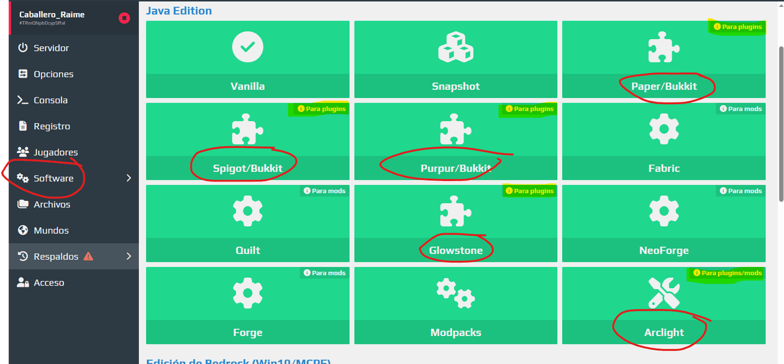 software para plugins de Aternos